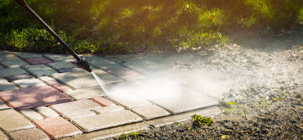 Animal Enclosure Cleaning in Harvey, MI